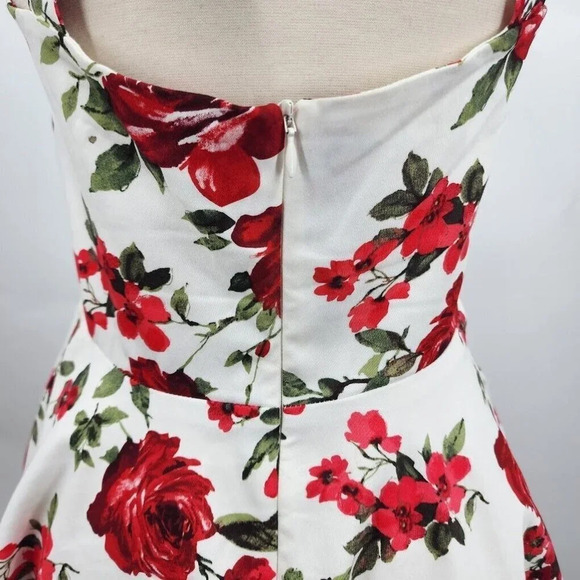 Eva Rose White And Red Rose Floral Fit And Flare Pinup Back-Tie Dress Size M - Picture 8 of 12